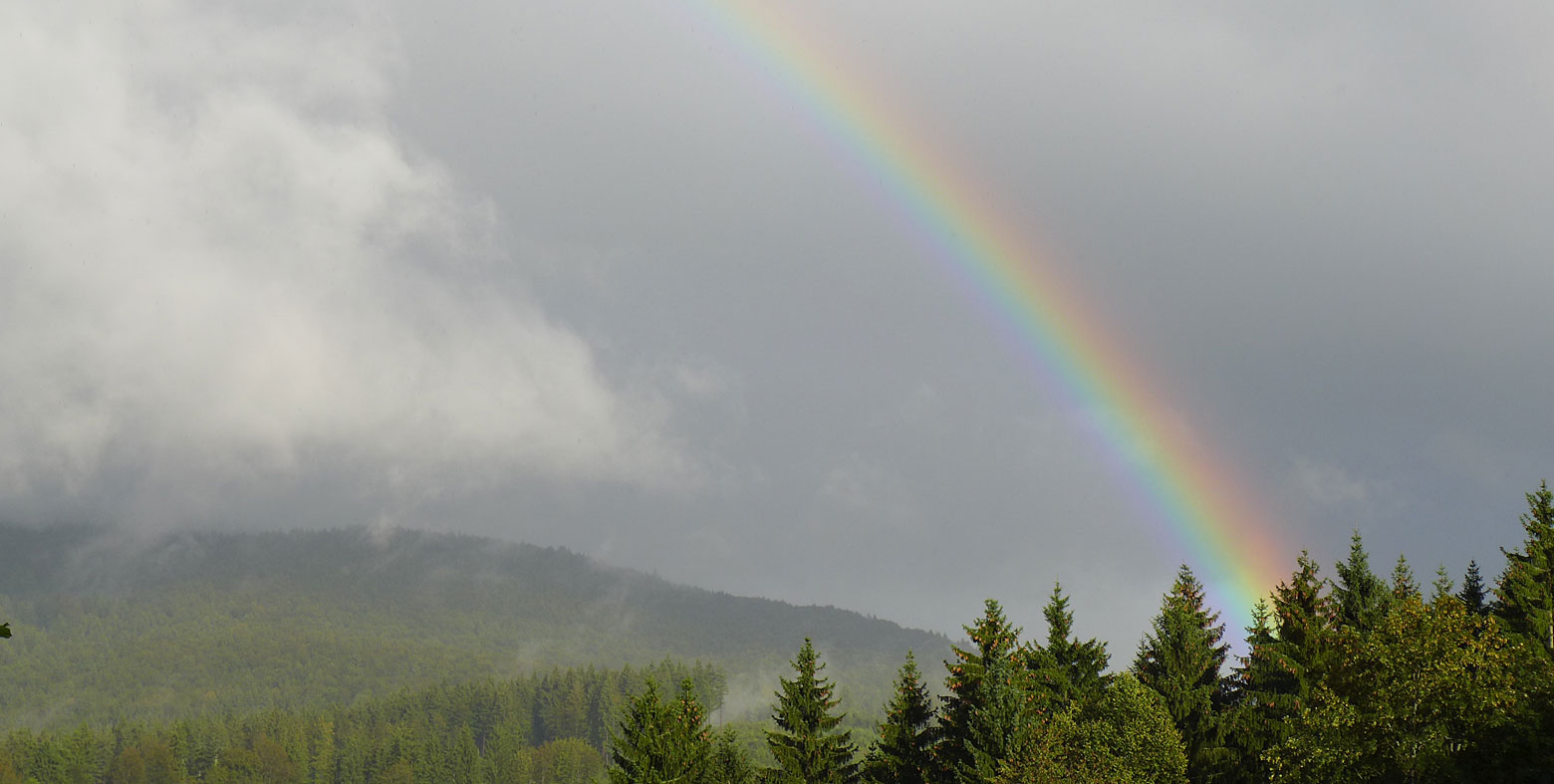 Urlaub am Nationalpark Bayerischer Wald